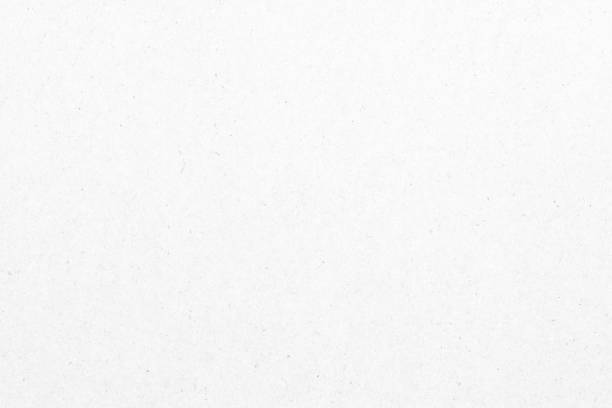 imagen_2025-12-13_112155660